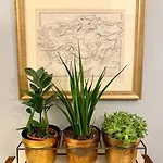 Apartament Old Designer Luxury Ryga