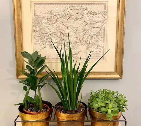 Апартаменты Old Designer Luxury Рига